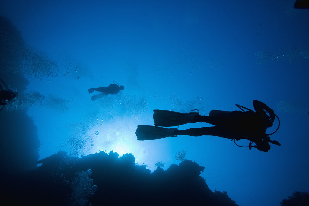 Detail of Scuba Divers Swimming near Reef by Anonymous