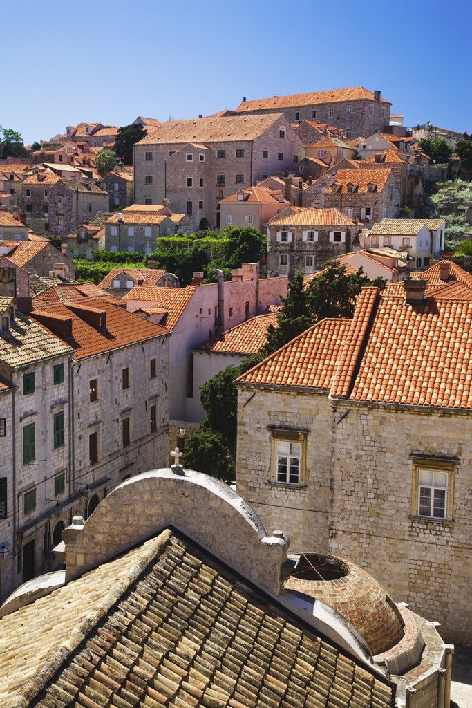 Detail of Red Terracotta Rooftops in Dubrovnik by Anonymous