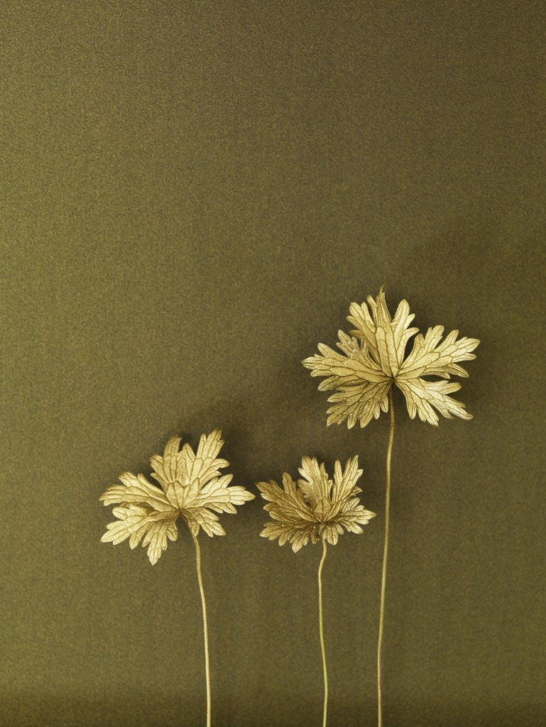 Detail of Golden Leaves by Anonymous