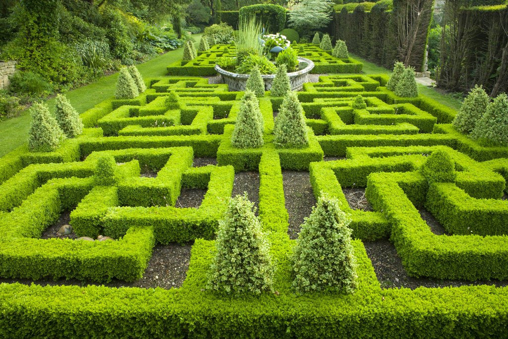 Detail of Knot Garden by Anonymous