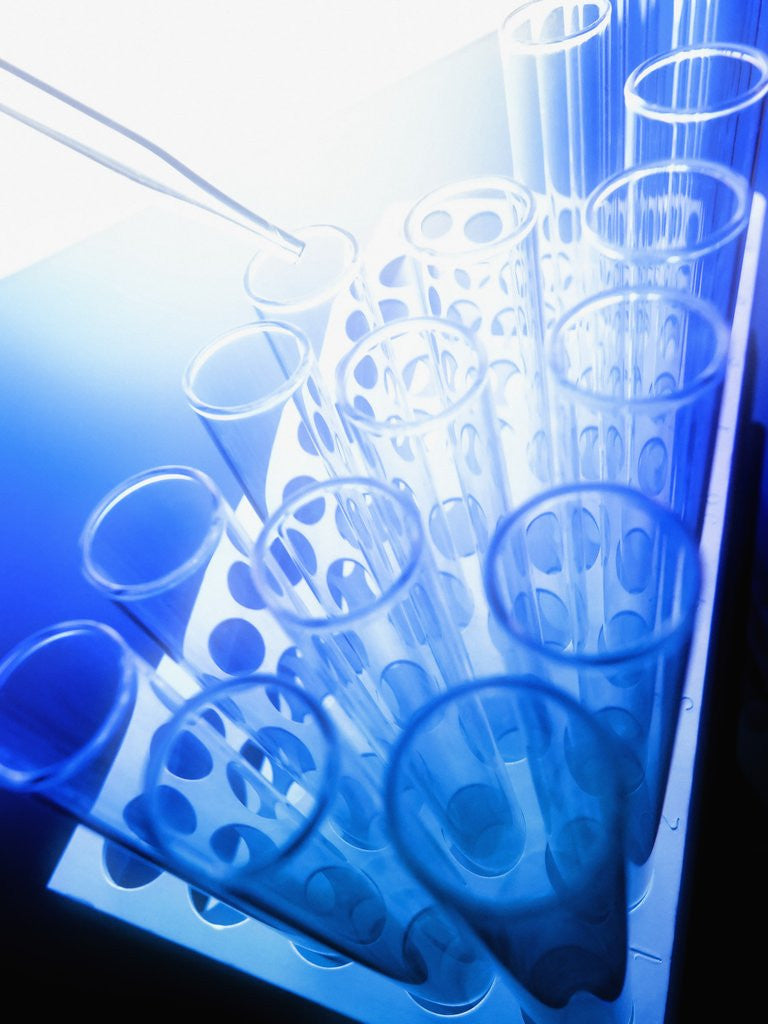 Detail of Test Tubes in Tray by Anonymous