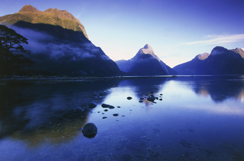 Detail of Milford Sound in New Zealand by Anonymous