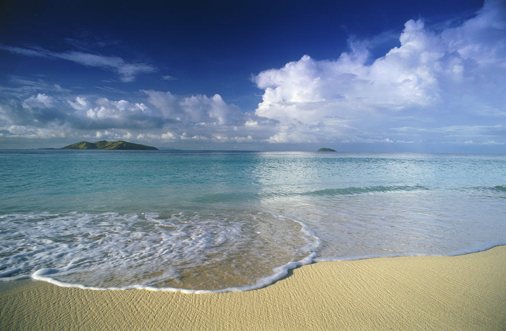 Detail of Beach in Fiji by Anonymous