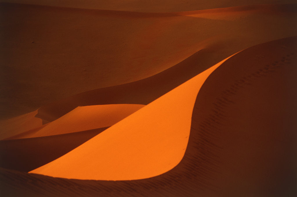 Detail of Sand Dunes in Namibia by Corbis