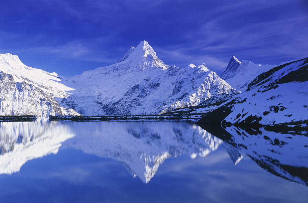 Detail of Bachalpsee Lake and Wetterhorn by Corbis