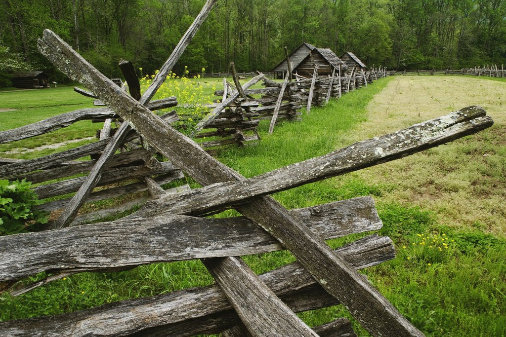 Detail of Pioneer Homestead Exhibit at Great Smoky Mountains National Park by Anonymous