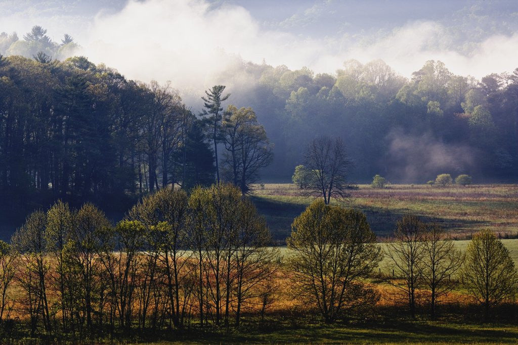 Detail of Fog Lifting from Cades Cove by Anonymous