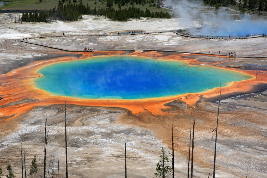 Detail of Grand Prismatic Spring by Corbis