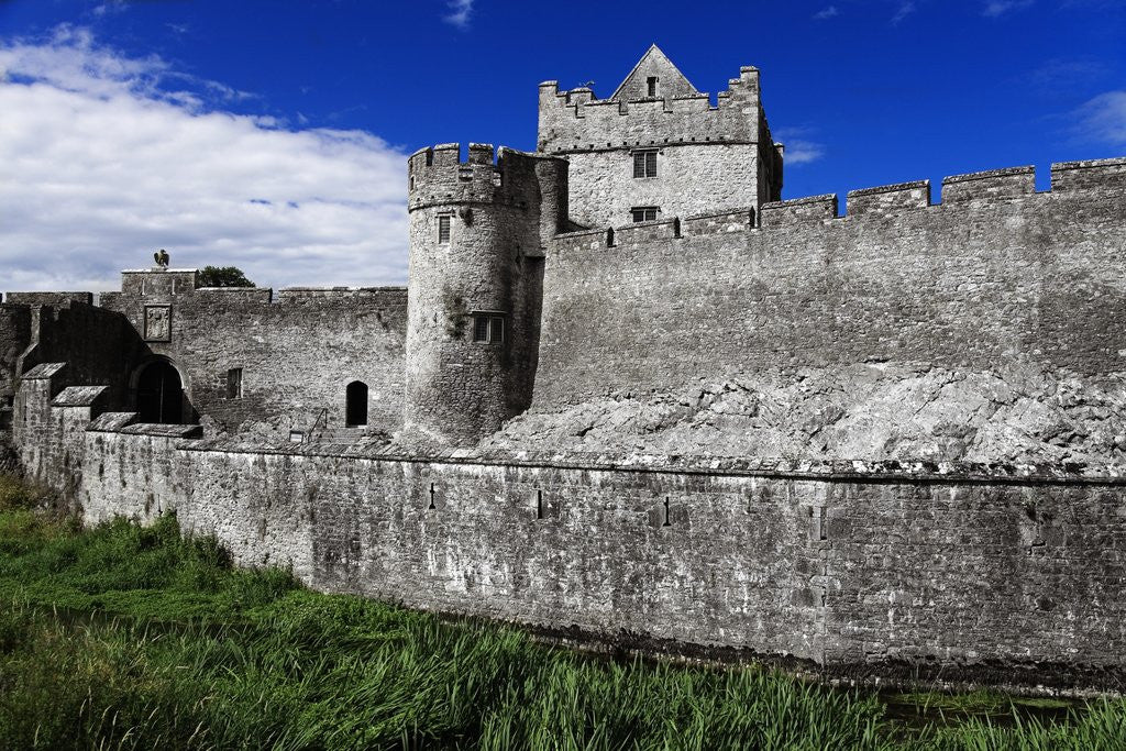 Detail of Cahir Castle by Corbis