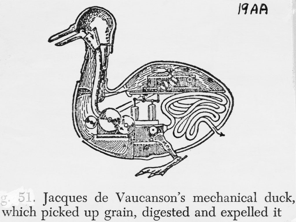 Detail of Mechanical Duck by Anonymous