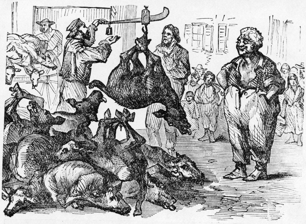 Detail of Half-Starved Calves Brought to the New York Meat Market by Anonymous