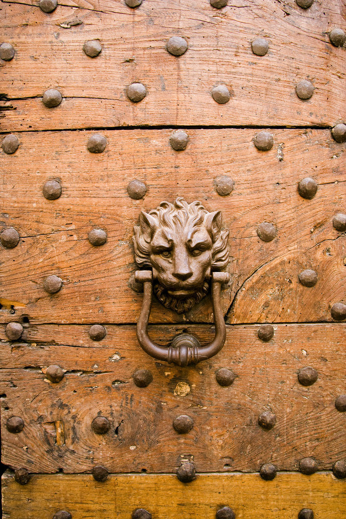 Detail of Cappellari Street near Campo de' Fiori. by Anonymous