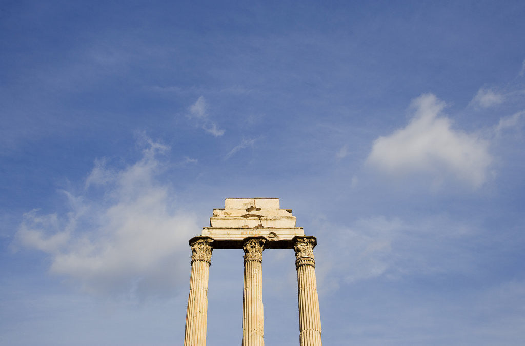 Detail of Roman Forum by Anonymous