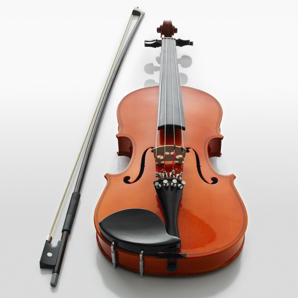 Detail of Violin and Bow by Anonymous