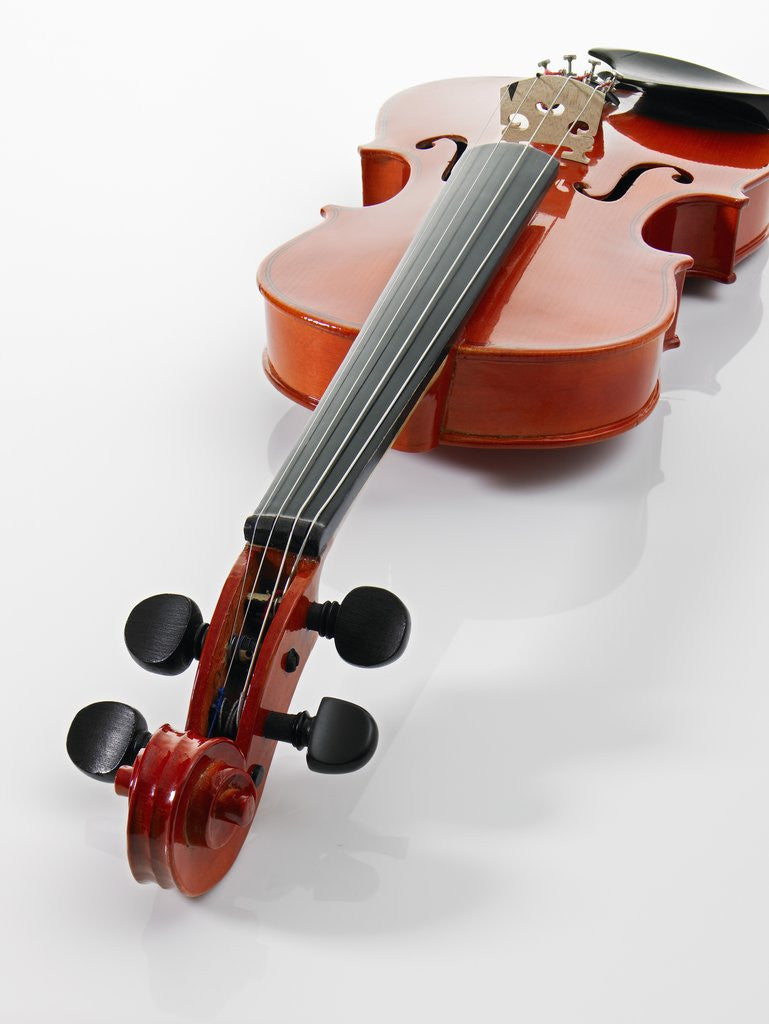 Detail of Violin by Anonymous