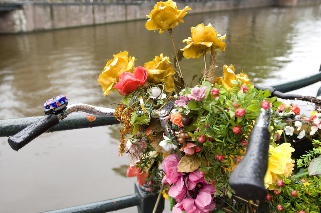 Detail of Bicycle with Flowers Beside a Canal by Anonymous