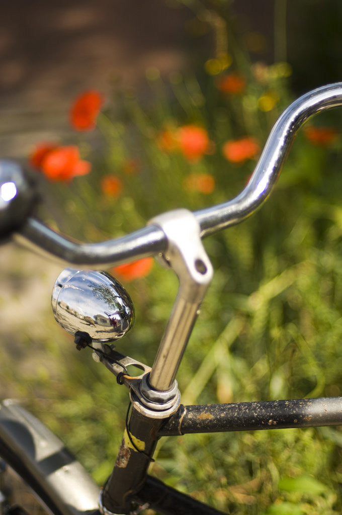Detail of Old Bicycle and Flowers by Anonymous