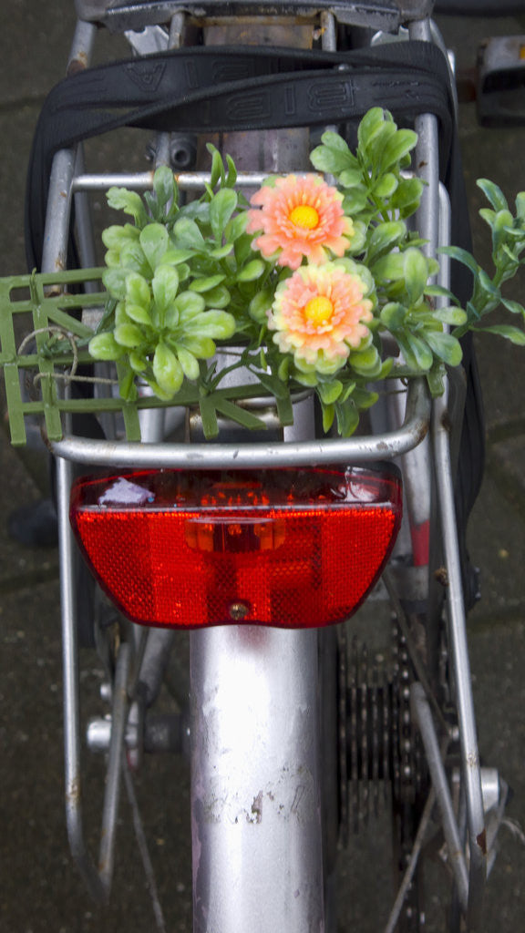 Detail of Bicycle with Flowers by Anonymous