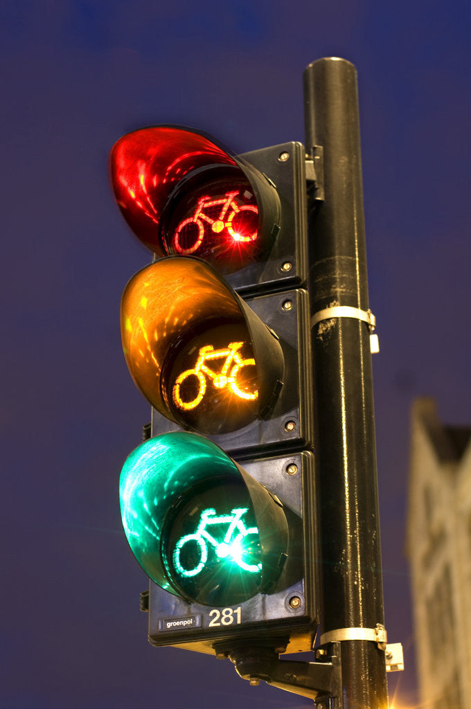 Detail of Bicycle Traffic Light by Anonymous