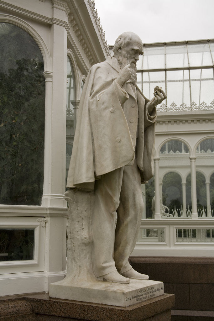 Detail of Charles Darwin Statue at Sefton Park Palm House by Anonymous