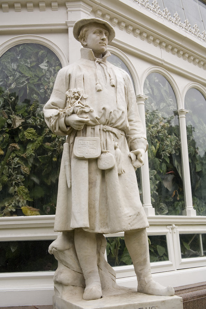 Detail of Carolus Linnaeus Statue at Sefton Park Palm House by Anonymous