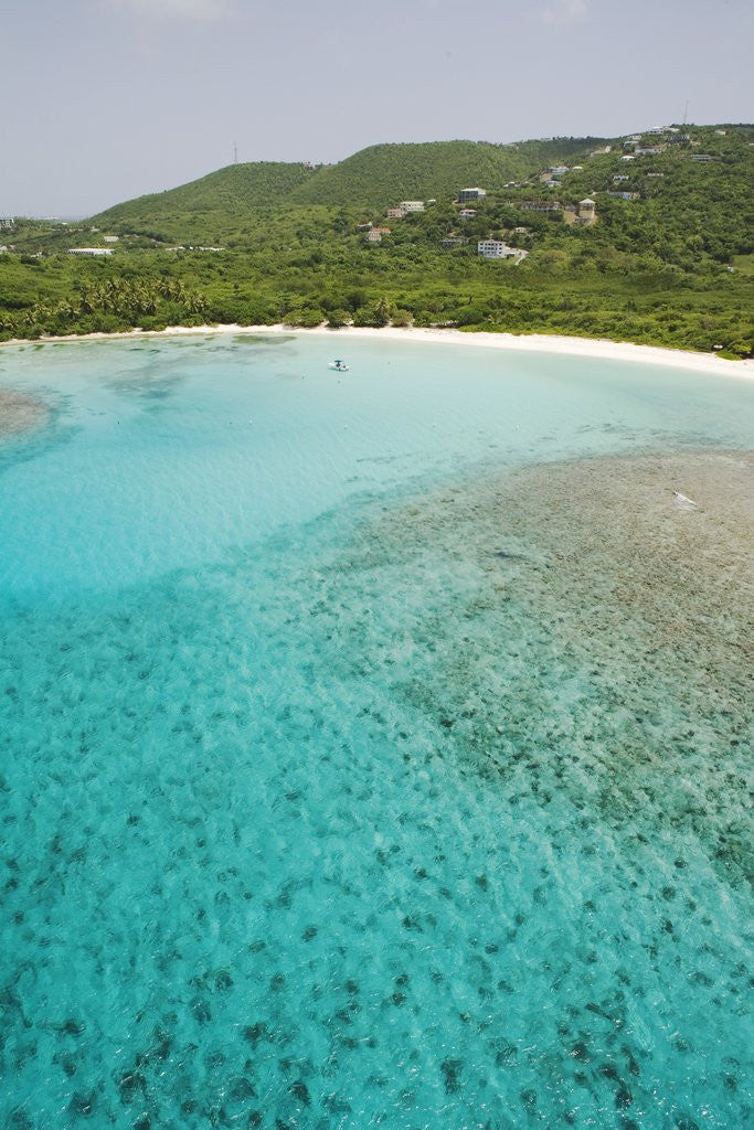 Detail of View near Lindquist Beach on St. Thomas by Anonymous