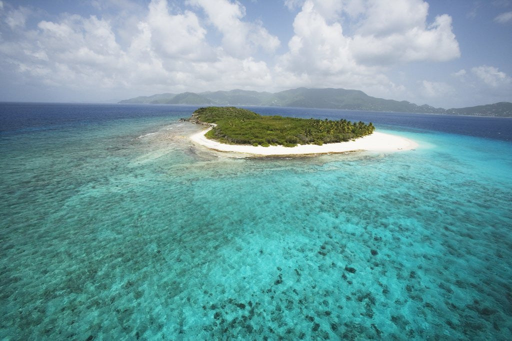 Detail of Green Cay in British Virgin Islands by Anonymous