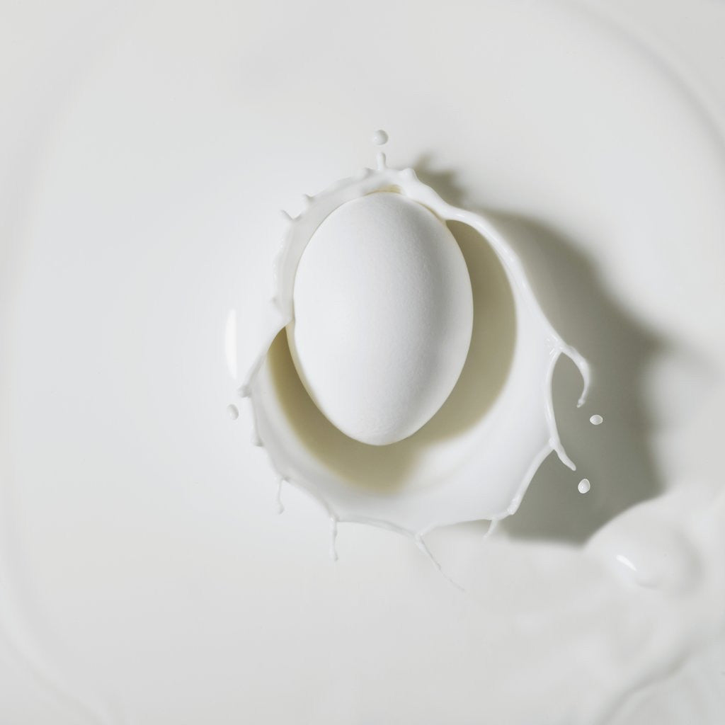 Detail of Egg splashing in milk by Anonymous