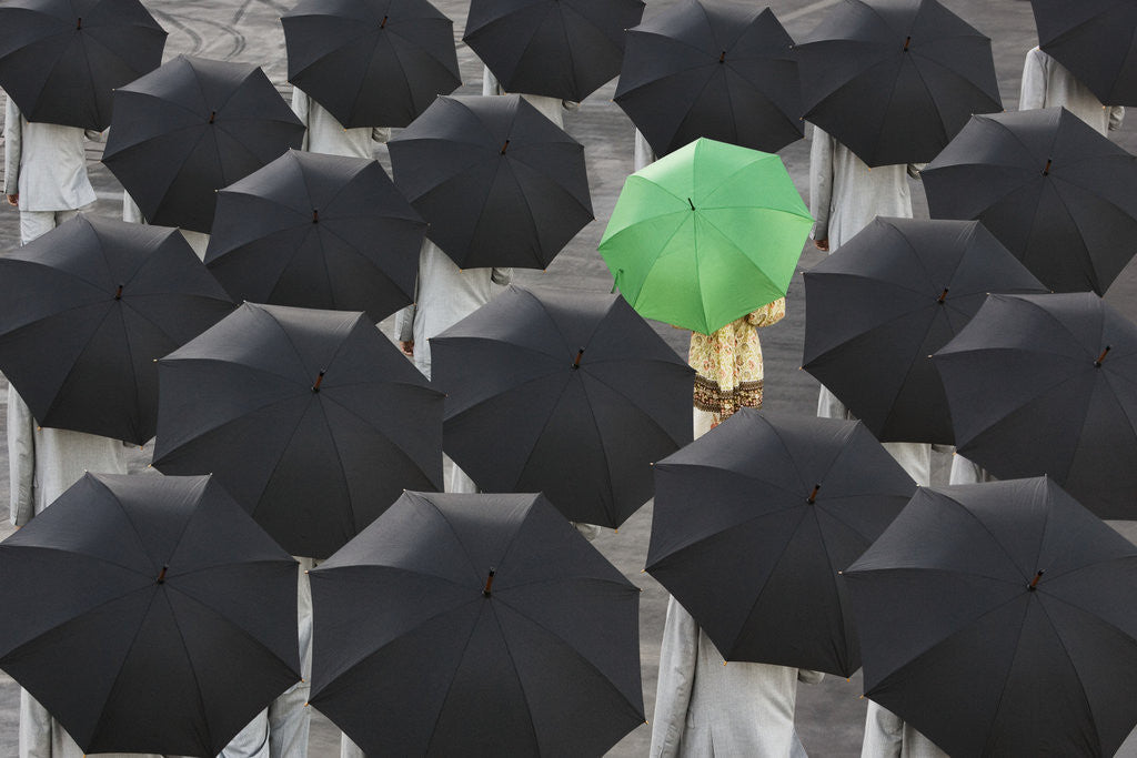 Detail of Green umbrella among group of black by Corbis