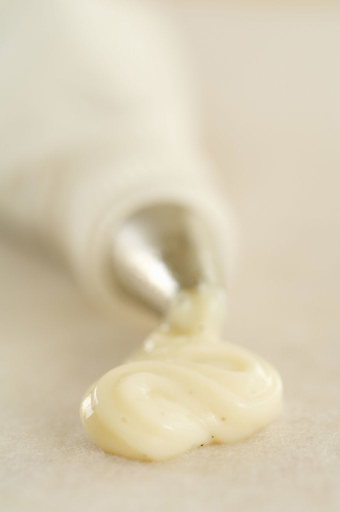 Detail of Piping Bag and Custard by Anonymous