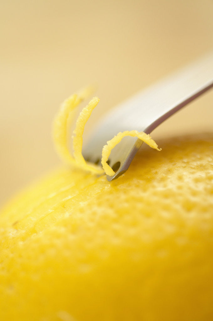 Detail of Lemon Zester on Lemon by Anonymous