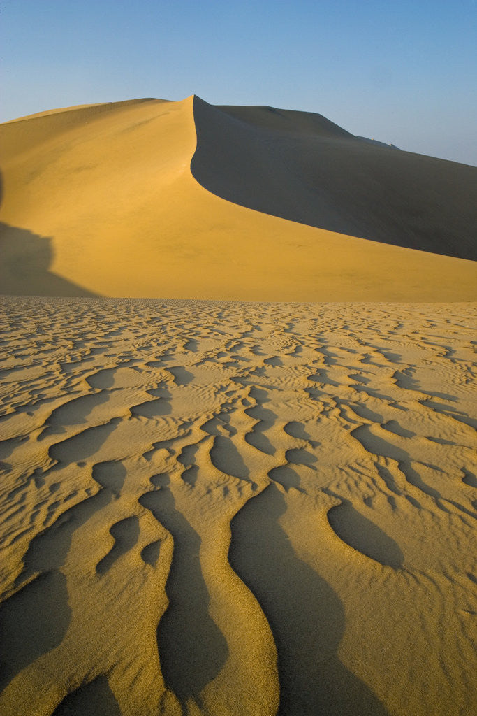 Detail of Sand Dunes by Anonymous