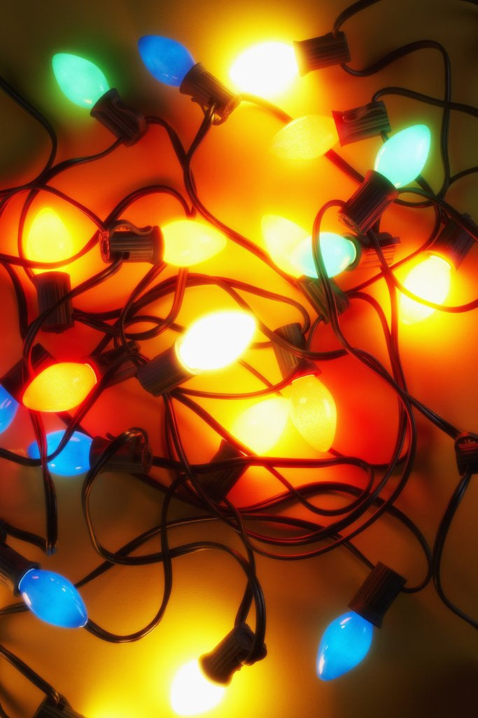 Detail of Christmas Lights by Anonymous