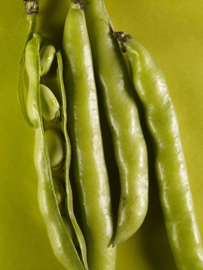 Detail of Broad Beans by Anonymous