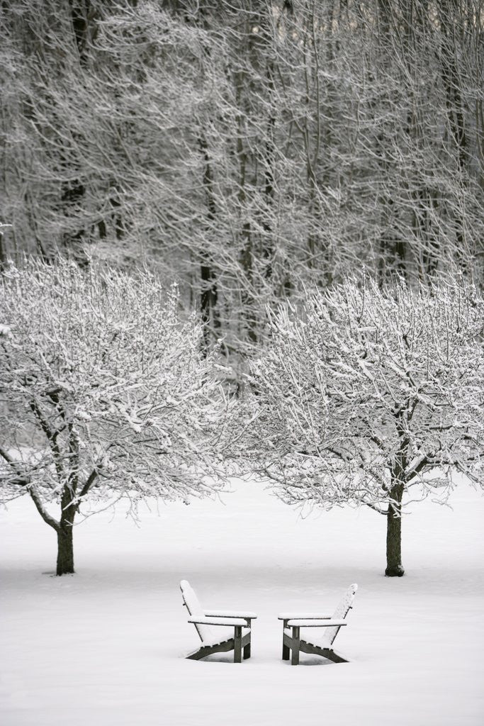 Detail of Snow covered landscape by Anonymous