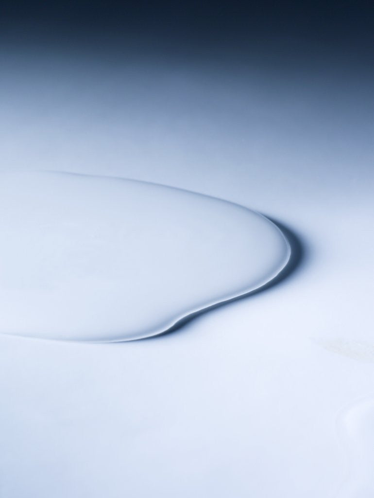 Detail of Puddle of white liquid by Anonymous