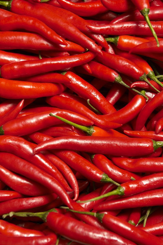 Detail of Jalapenos by Anonymous