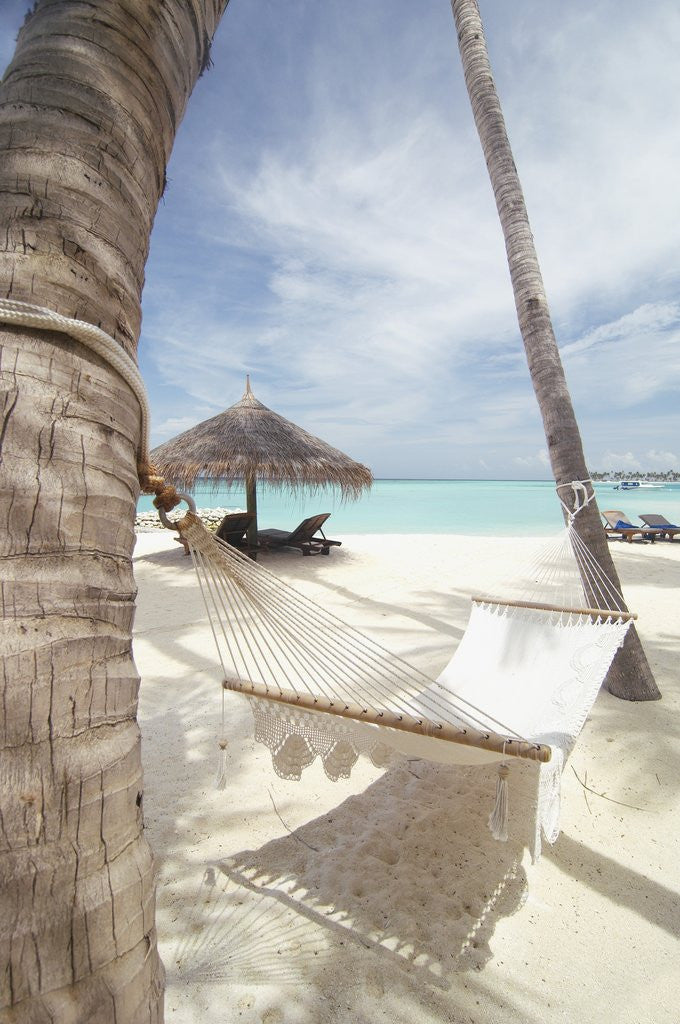 Detail of Hammock on the beach by Anonymous