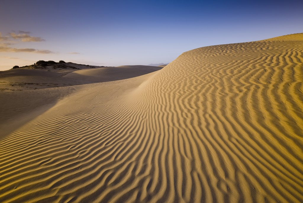 Detail of Sand Dunes of Isla Magdalena by Anonymous