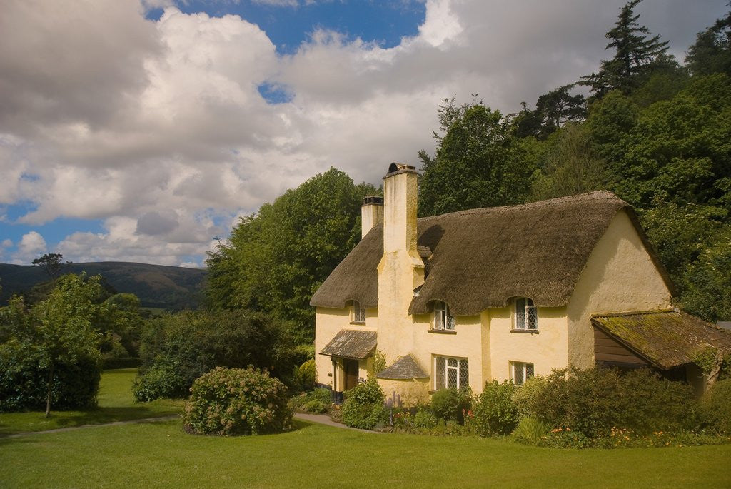 Detail of Thatched Roof House near Selworthy, Somerset by Anonymous