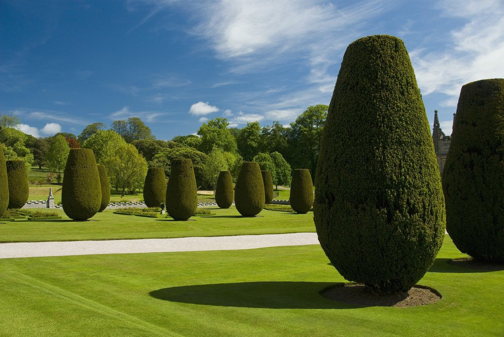 Detail of Gardens on the Estate of Lanhydrock by Anonymous