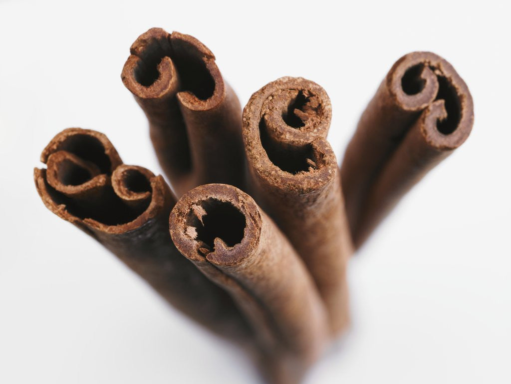 Detail of Cinnamon sticks by Anonymous