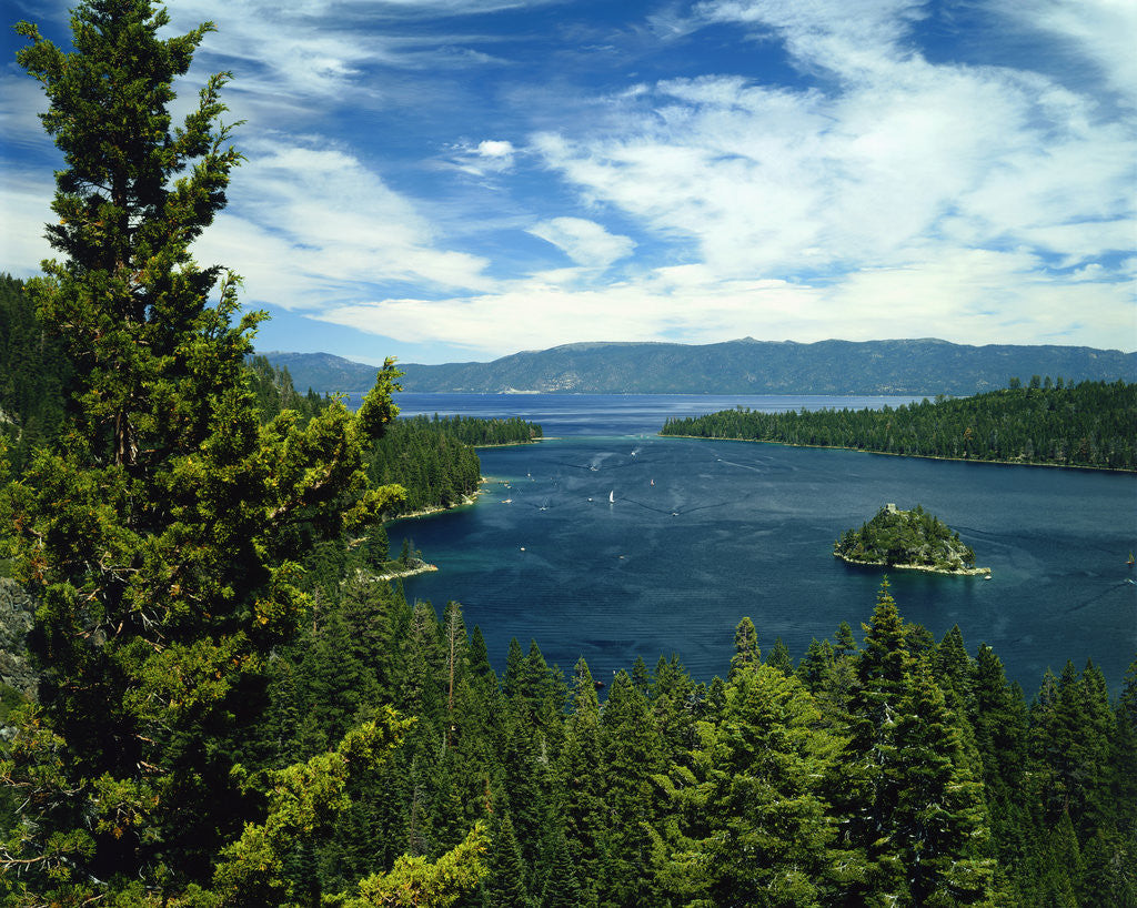 Detail of Lake Tahoe by Anonymous