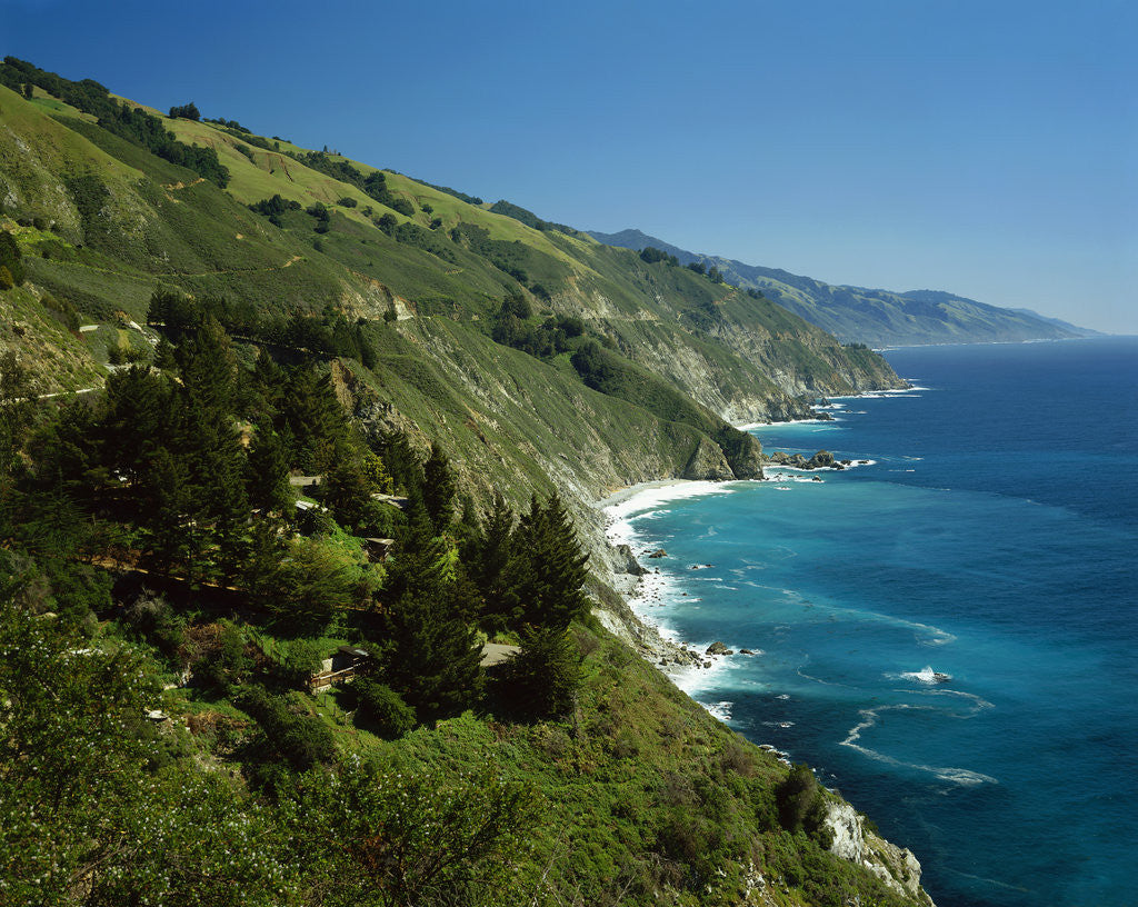 Detail of Big Sur Coast by Anonymous