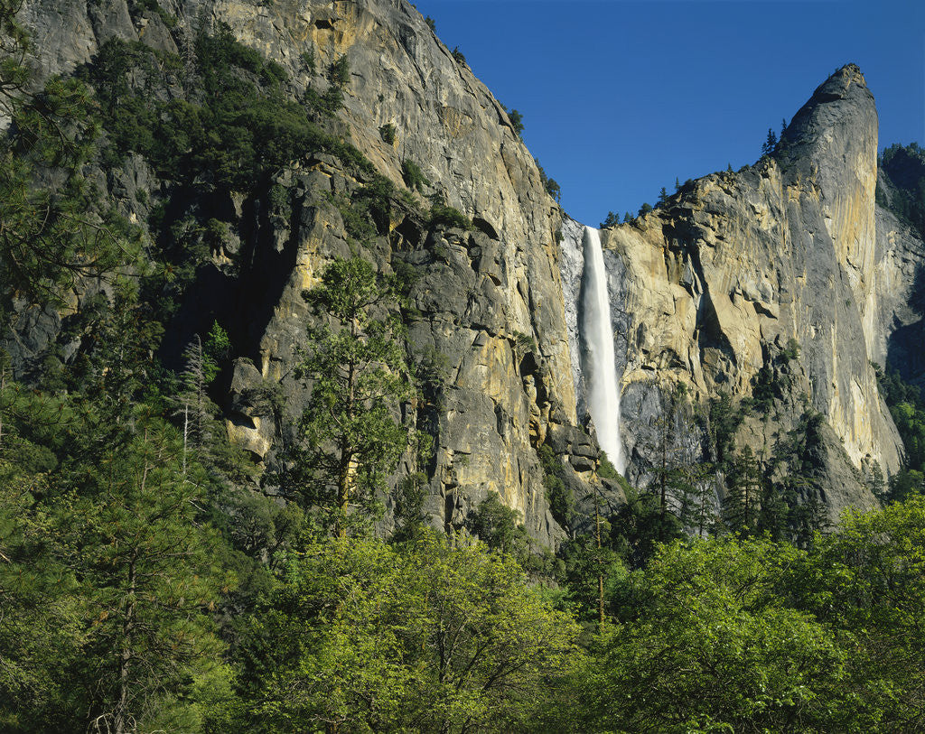 Detail of Bridalvail Falls in Yosemite National Park by Anonymous