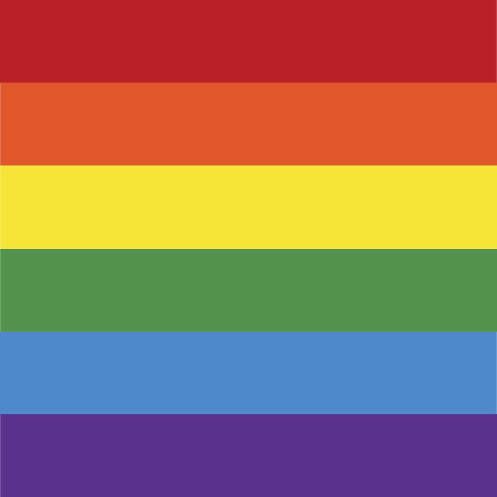 Detail of Rainbow flag by Anonymous