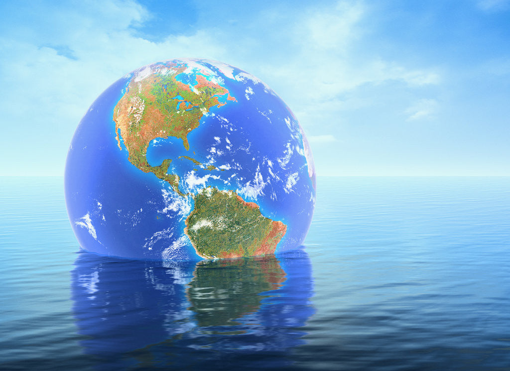 Detail of Earth Floating in Water by Anonymous