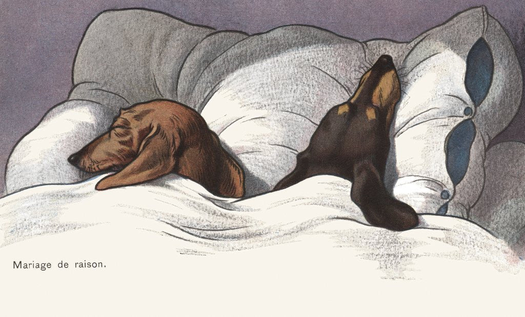 Detail of Mariage de Raison Postcard with Sleeping Dogs in Bed by Anonymous