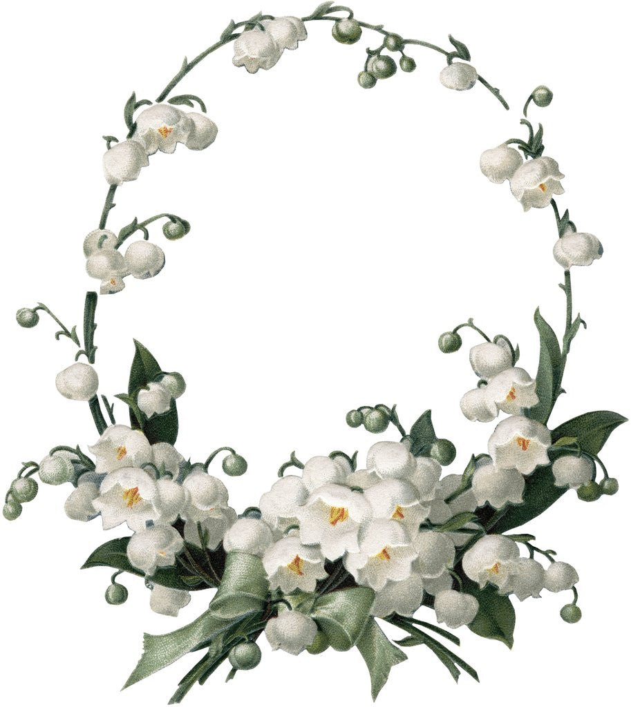 Detail of Illustration of White Flower Border by Anonymous