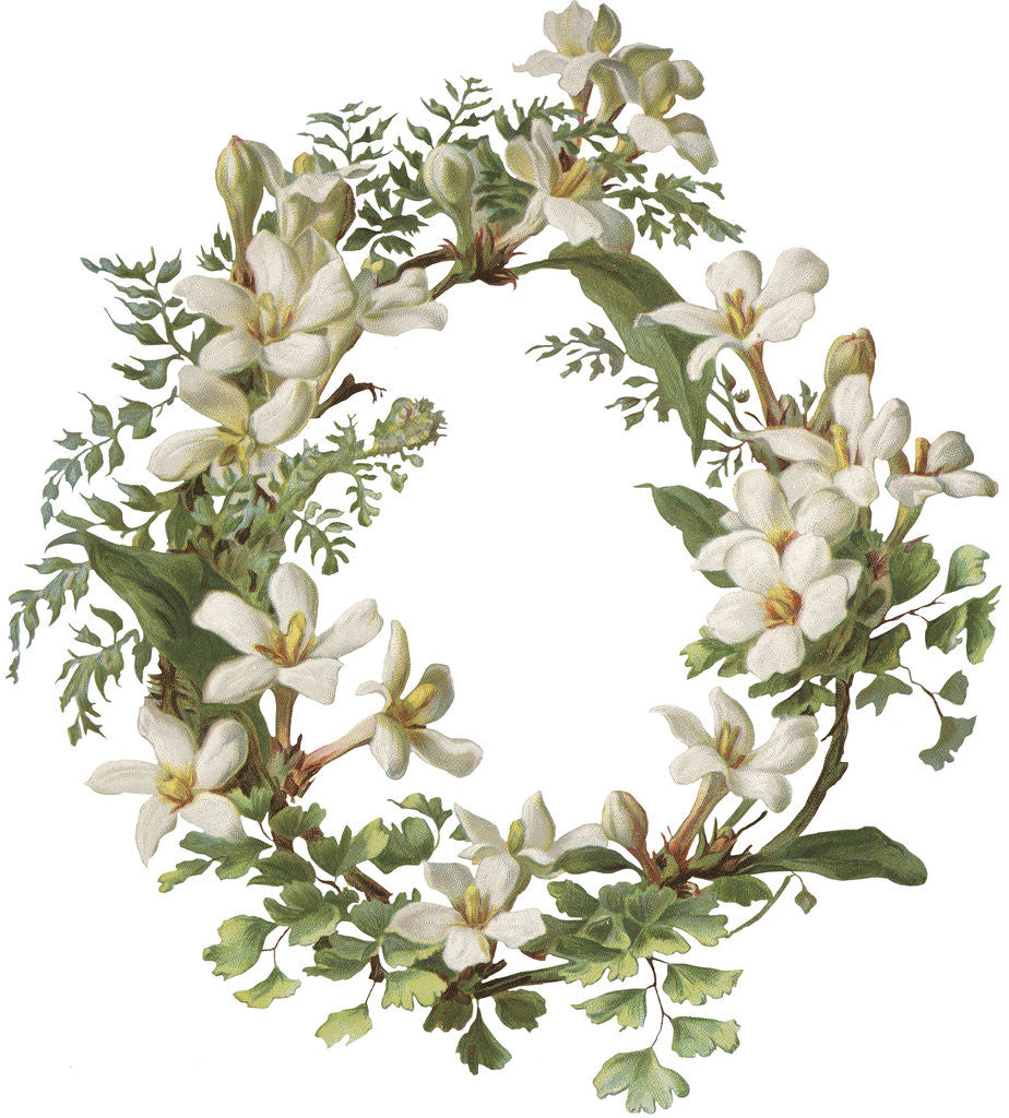 Detail of Illustration of Honeysuckle Border by Anonymous